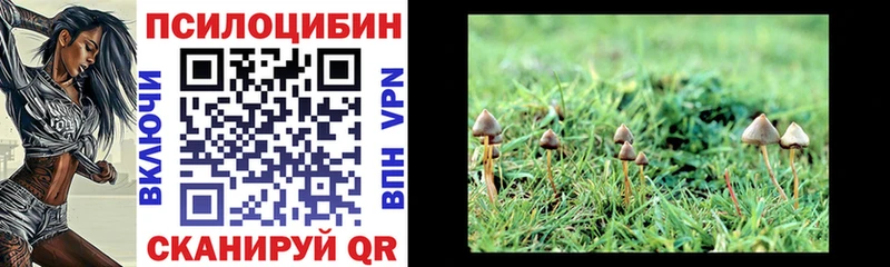 Псилоцибиновые грибы прущие грибы Донецк